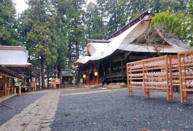 12.1朝　神社.jpg