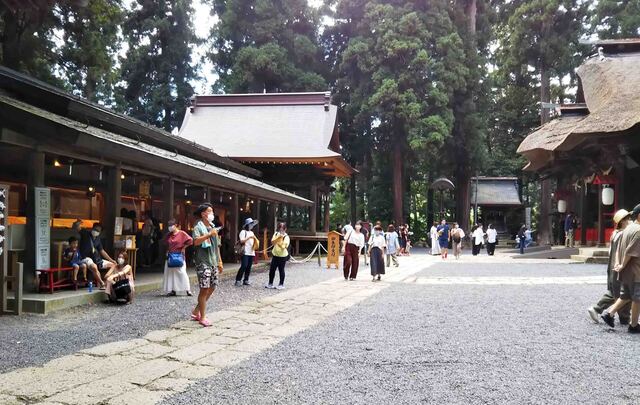 山上2.jpg