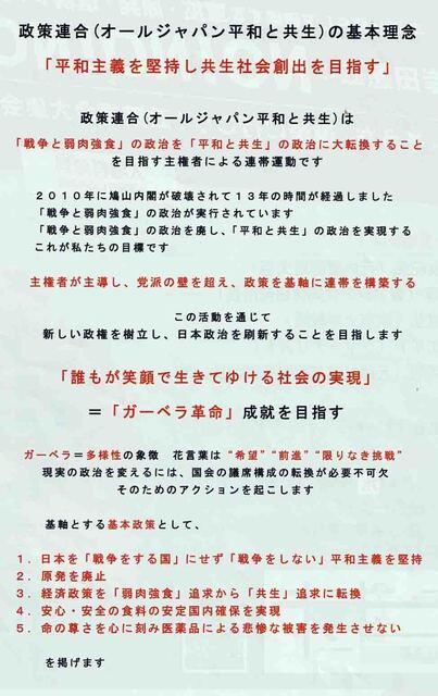 政策連合基本理念.jpg