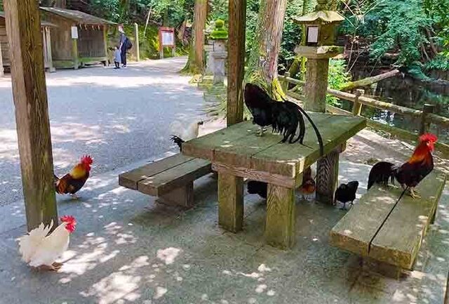 石上神宮5.jpg