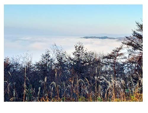 秋葉山24.11.14 1.jpg