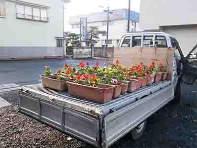 花植え3.jpg