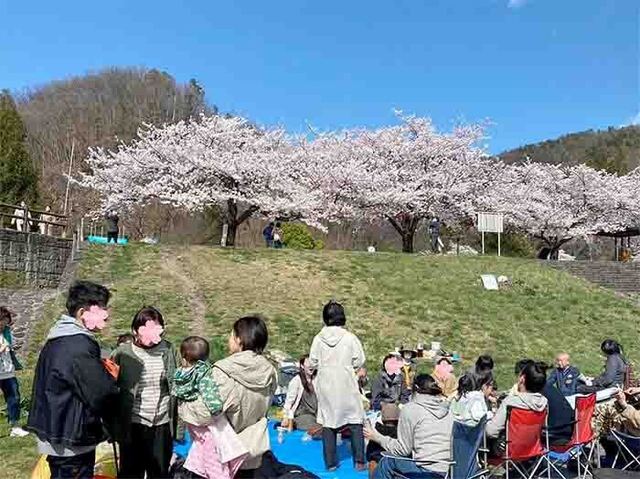 花見1.jpg